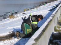 photo 033_2
